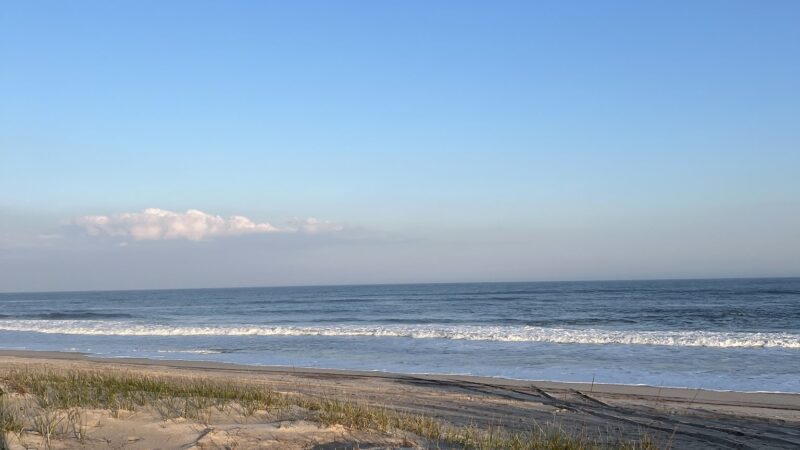 Dolphin Beach - East Quogue, NY
