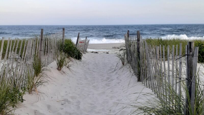 Hot Dog Beach - East Quogue, NY