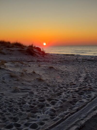 Hot Dog Beach - East Quogue, NY