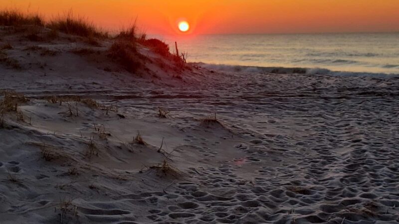 Hot Dog Beach - East Quogue, NY
