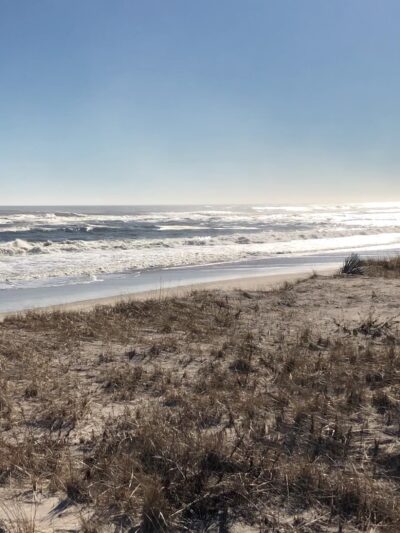 Hot Dog Beach - East Quogue, NY