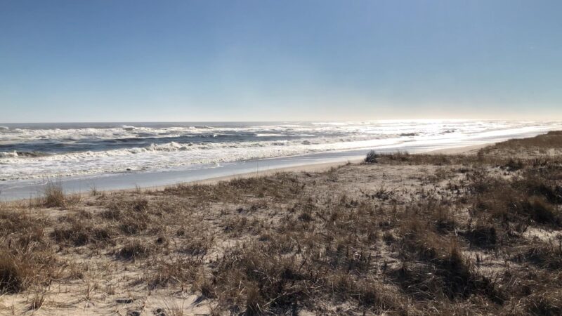 Hot Dog Beach - East Quogue, NY