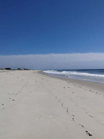 Hot Dog Beach - East Quogue, NY