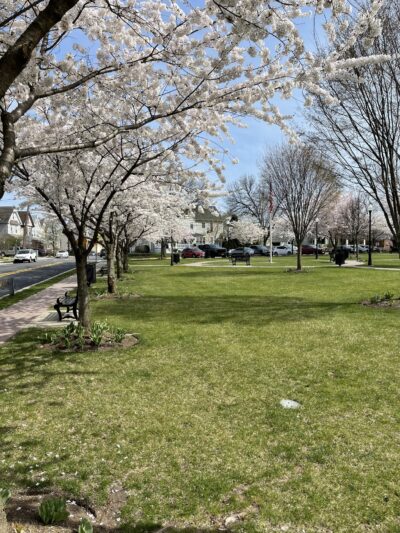 Joseph W. Sesselman Park - East Rutherford, NJ