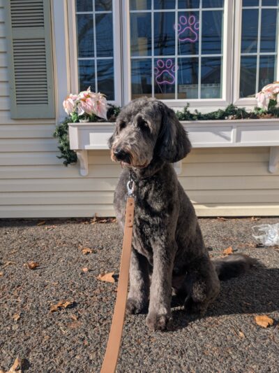 Prideful Grooming - East Rutherford, NJ
