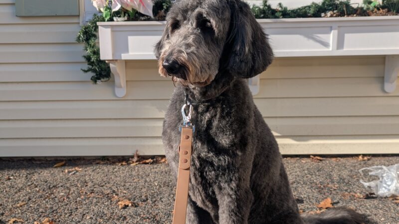 Prideful Grooming - East Rutherford, NJ