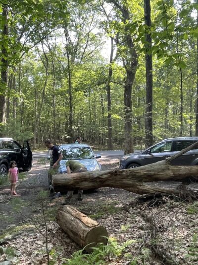 Fernridge trail loop - East Stroudsburg, PA