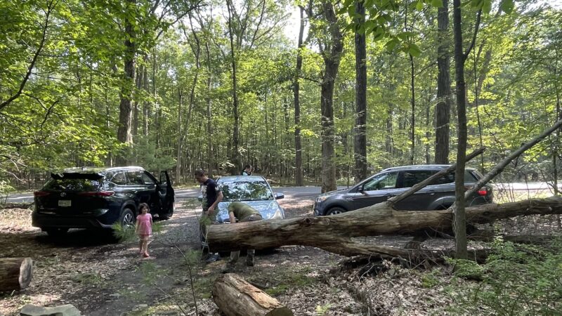 Fernridge trail loop - East Stroudsburg, PA