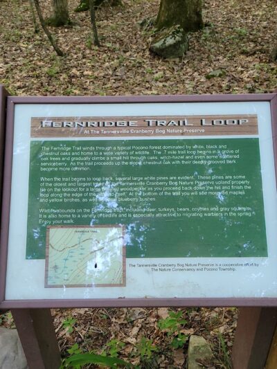 Fernridge trail loop - East Stroudsburg, PA