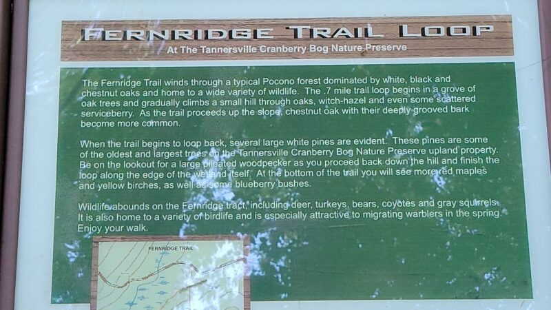 Fernridge trail loop - East Stroudsburg, PA