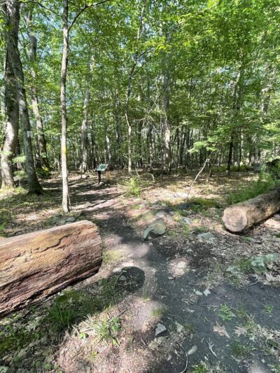 Fernridge trail loop - East Stroudsburg, PA