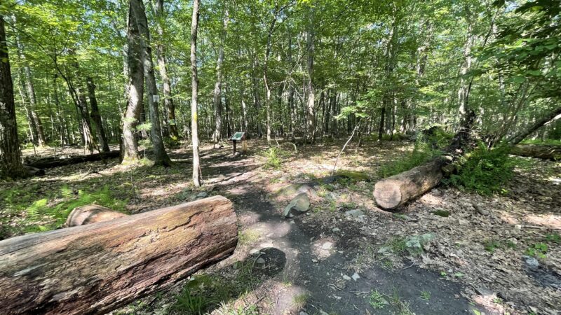 Fernridge trail loop - East Stroudsburg, PA