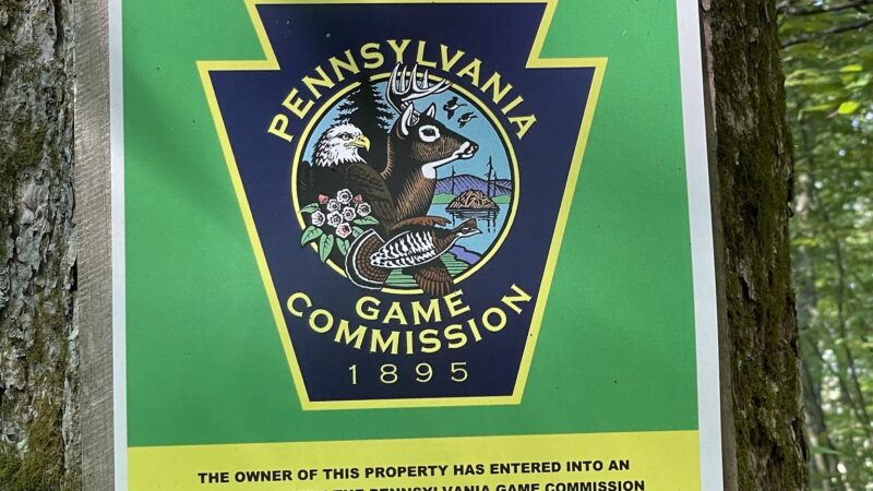 Fernridge trail loop - East Stroudsburg, PA