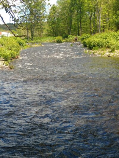 Brodhead Creek Park - East Stroudsburg, PA