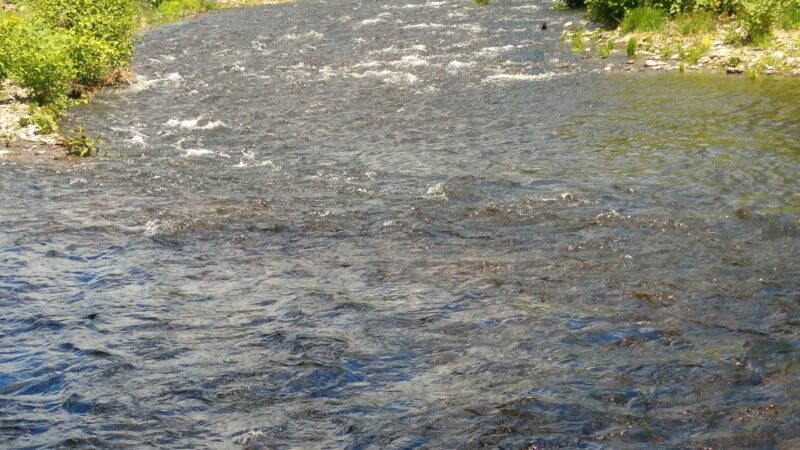 Brodhead Creek Park - East Stroudsburg, PA