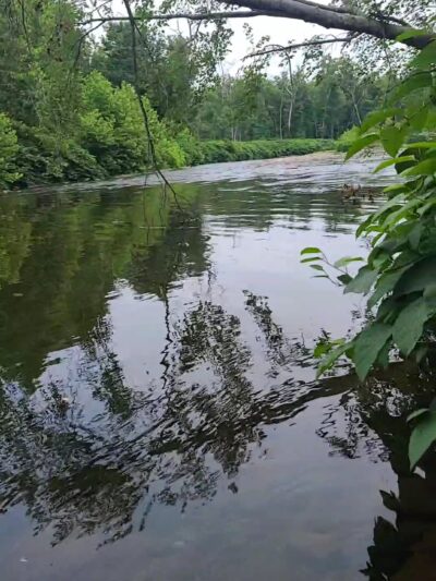 Brodhead Creek Park - East Stroudsburg, PA
