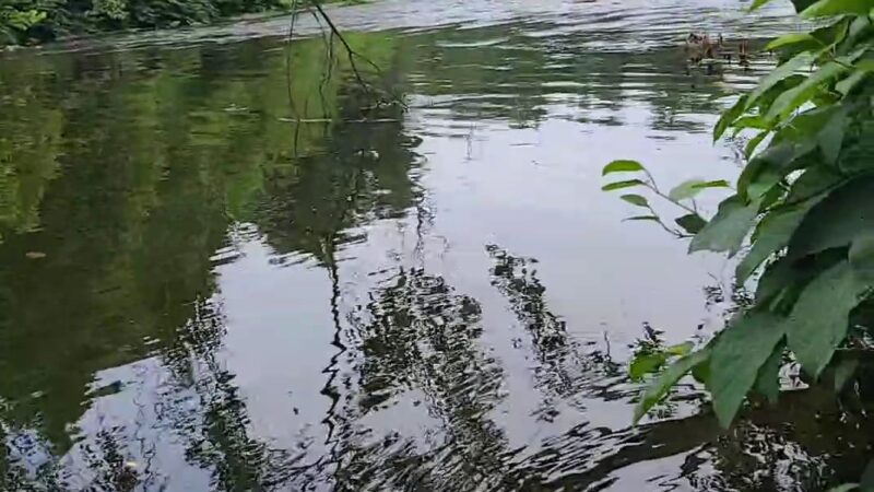 Brodhead Creek Park - East Stroudsburg, PA