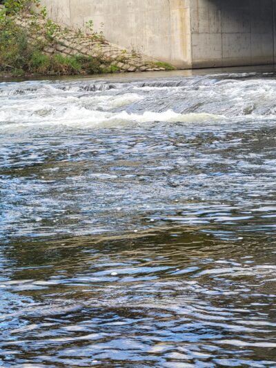 Dansbury Levee Loop Trailhead - East Stroudsburg, PA
