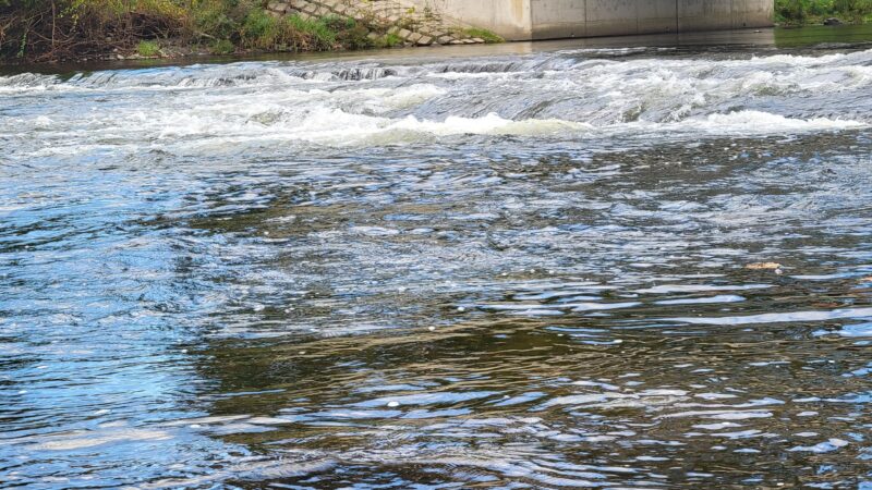 Dansbury Levee Loop Trailhead - East Stroudsburg, PA
