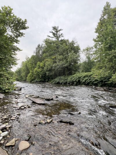 ForEvergreen Nature Preserve - East Stroudsburg, PA