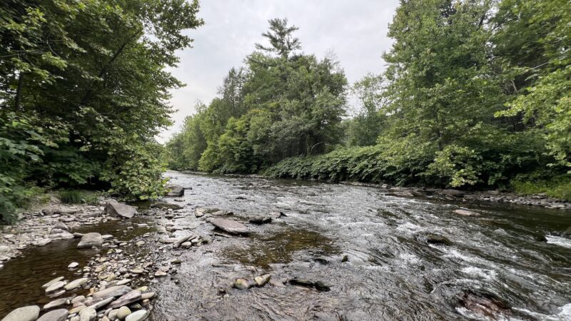 ForEvergreen Nature Preserve - East Stroudsburg, PA