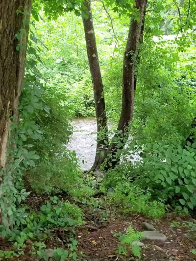 ForEvergreen Nature Preserve - East Stroudsburg, PA
