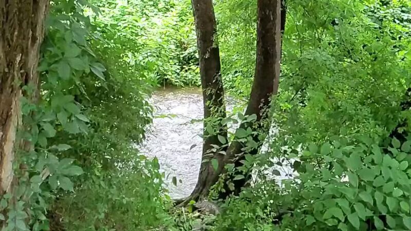 ForEvergreen Nature Preserve - East Stroudsburg, PA