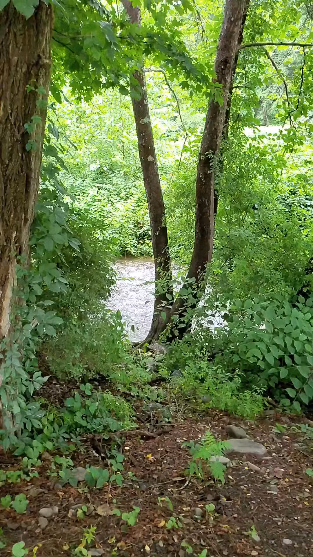 ForEvergreen Nature Preserve - East Stroudsburg, PA