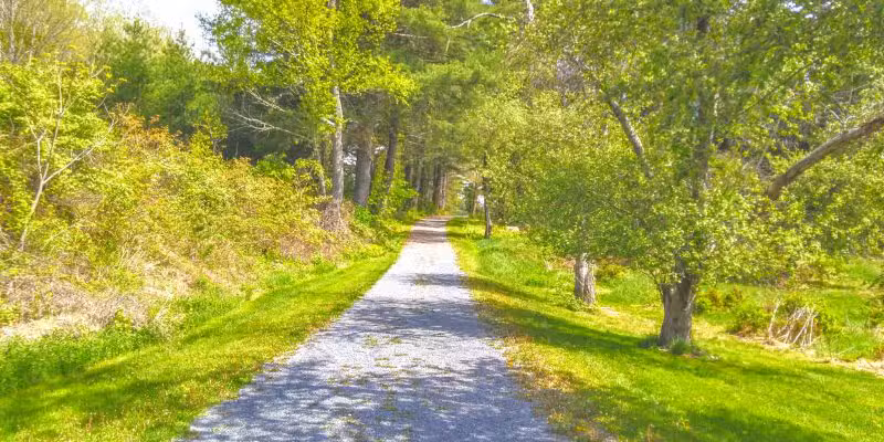ForEvergreen Nature Preserve - East Stroudsburg, PA