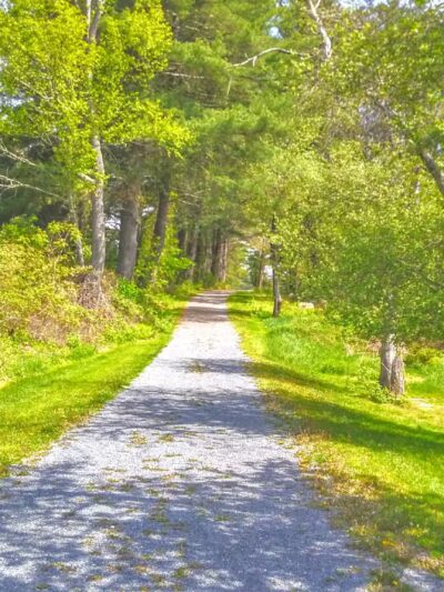 ForEvergreen Nature Preserve - East Stroudsburg, PA
