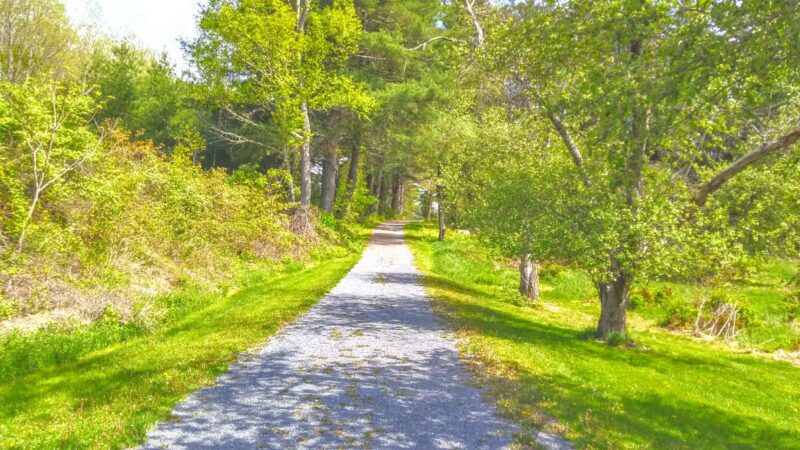 ForEvergreen Nature Preserve - East Stroudsburg, PA