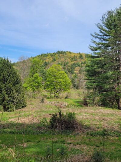 ForEvergreen Nature Preserve - East Stroudsburg, PA