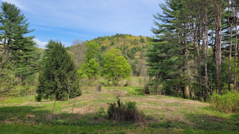 ForEvergreen Nature Preserve - East Stroudsburg, PA
