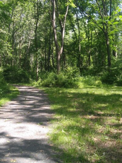 Minisink Park - East Stroudsburg, PA