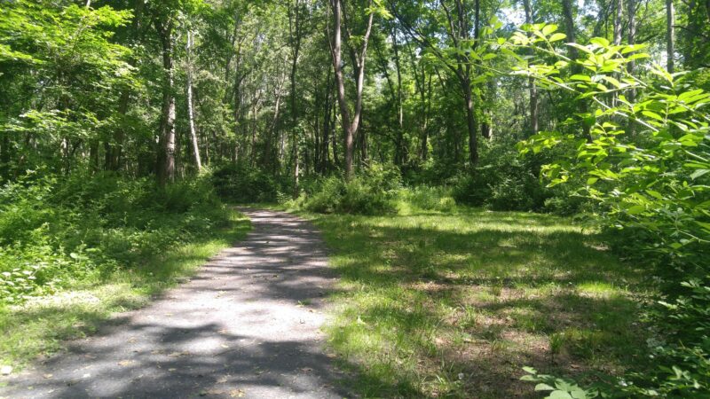 Minisink Park - East Stroudsburg, PA