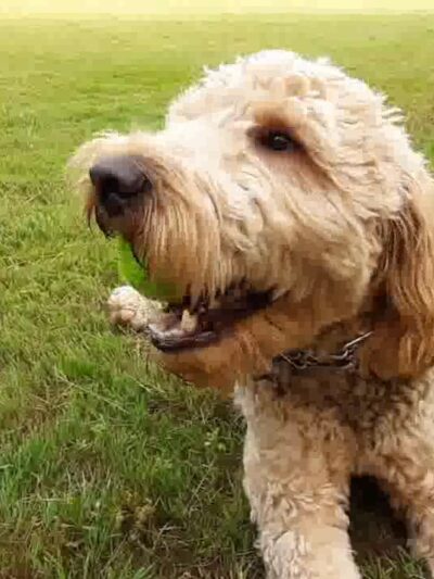 Minisink Park - East Stroudsburg, PA