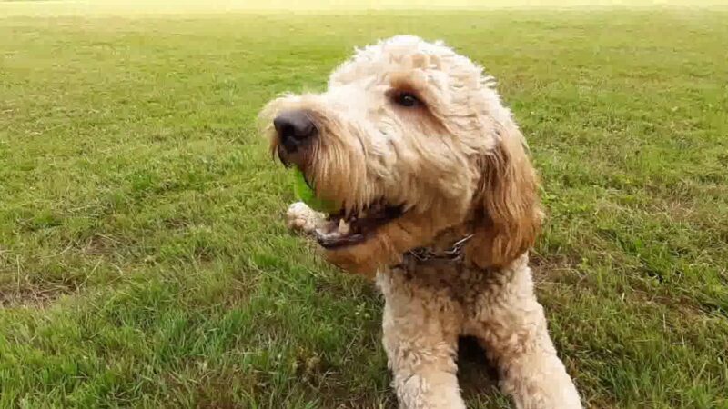 Minisink Park - East Stroudsburg, PA