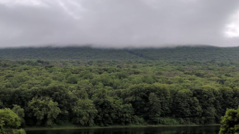 Smithfield Beach - East Stroudsburg, PA