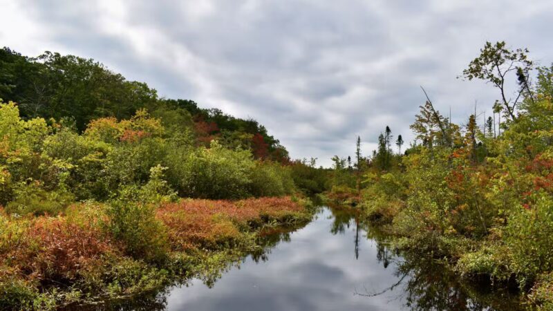 Tannersville Cranberry Bog Preserve - East Stroudsburg, PA