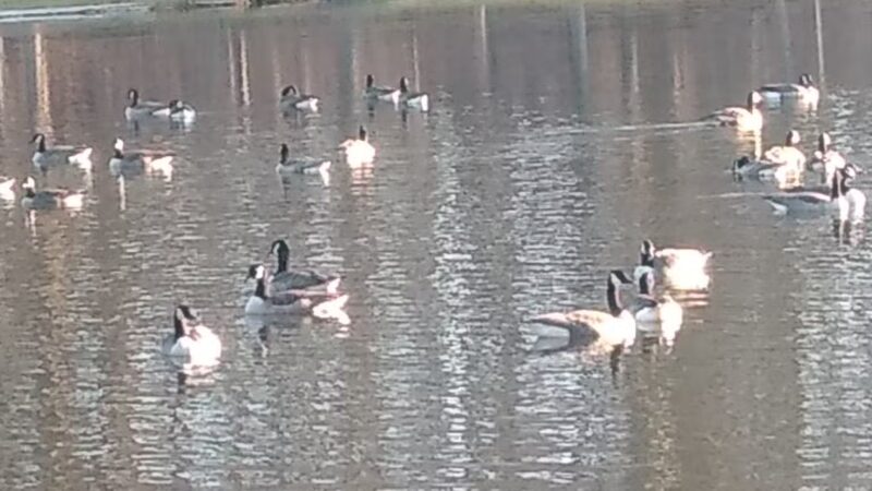 Zacharias Pond Park - East Stroudsburg, PA