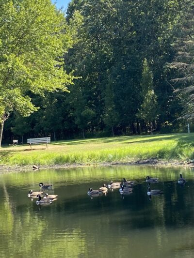 Zacharias Pond Park - East Stroudsburg, PA
