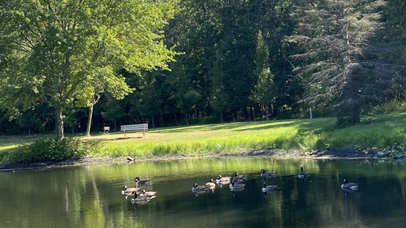 Zacharias Pond Park - East Stroudsburg, PA