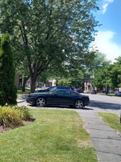 Franklin Park Apartments - East Syracuse, NY