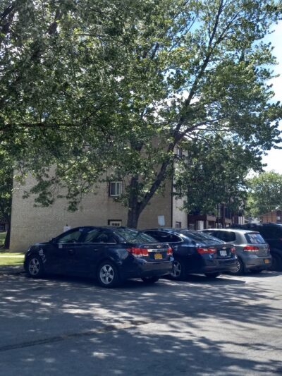 Franklin Park Apartments - East Syracuse, NY