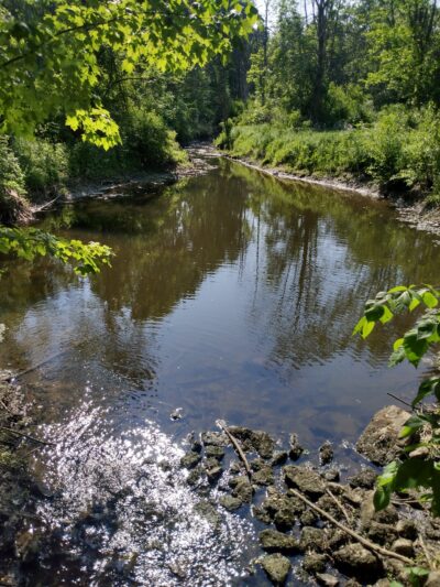 Maxwell Park - East Syracuse, NY