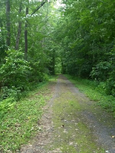 Maxwell Park - East Syracuse, NY