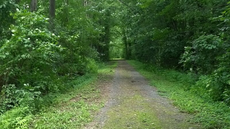 Maxwell Park - East Syracuse, NY