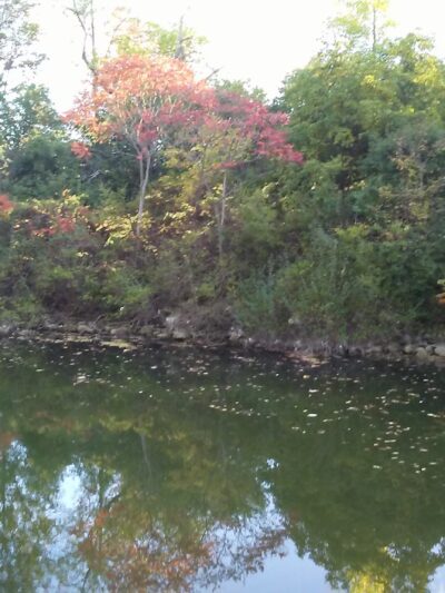 Old Erie Canal State Park Parking Area - East Syracuse, NY