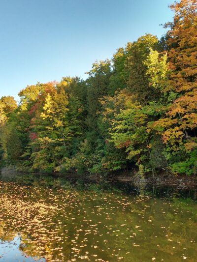 Old Erie Canal State Park Parking Area - East Syracuse, NY