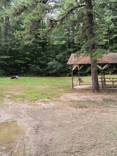 Weeks Beach - East Wakefield, NH